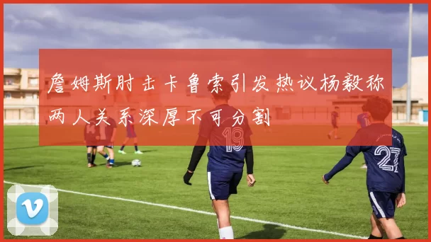 詹姆斯肘击卡鲁索引发热议杨毅称两人关系深厚不可分割