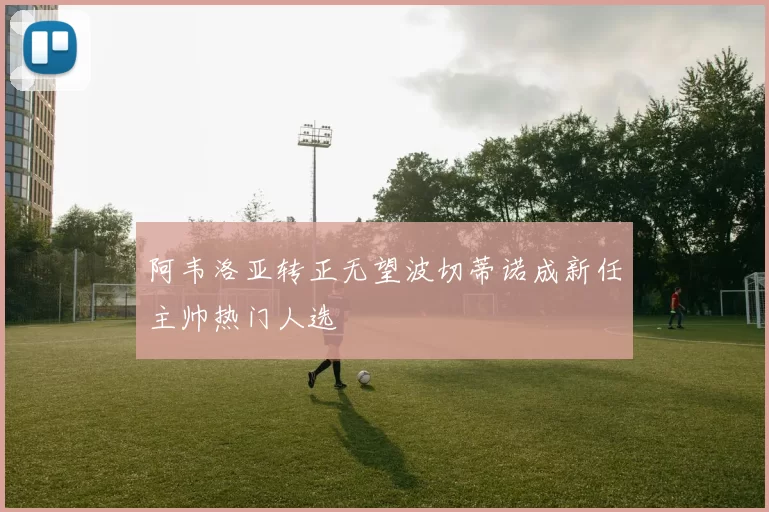阿韦洛亚转正无望波切蒂诺成新任主帅热门人选