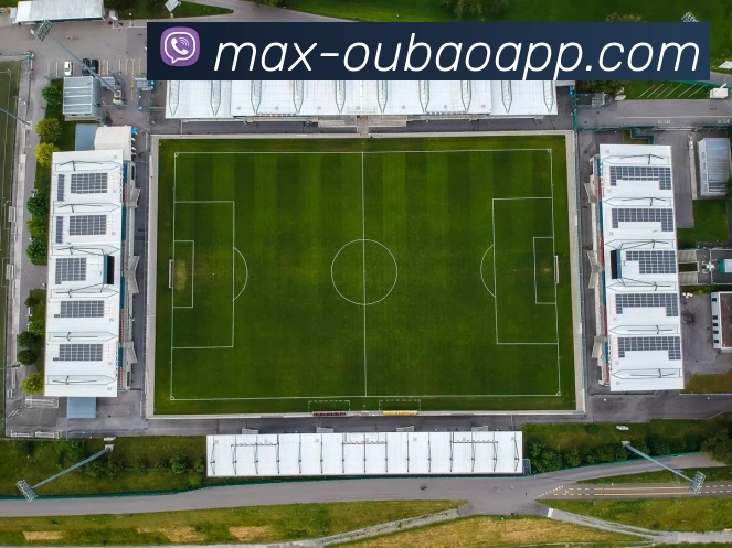 欧宝体育APP 体育赛事宣传图